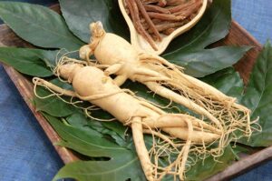 Ginseng Panax